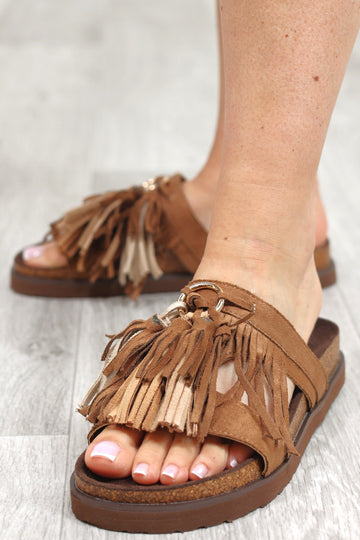 MULE ASHARA